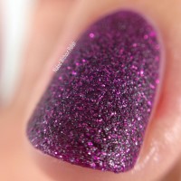 zoya nail polish and instagram gallery image 56