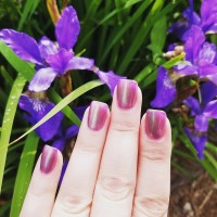 zoya nail polish and instagram gallery image 20